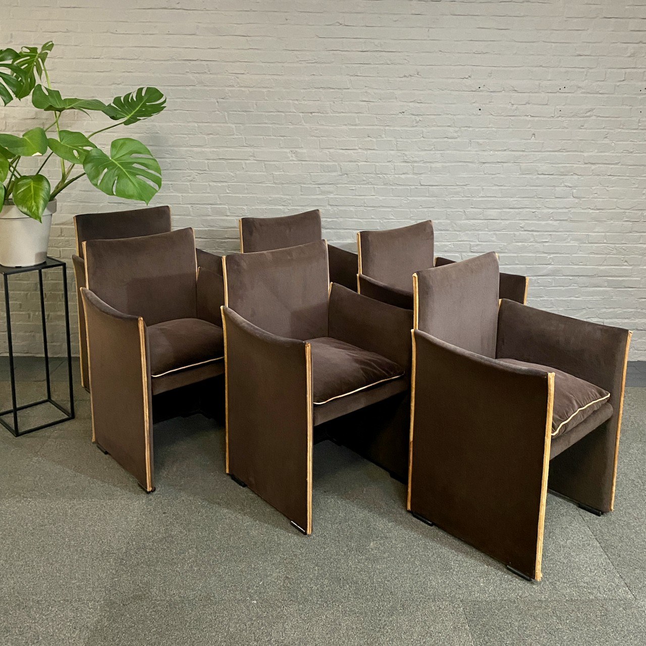 Zes bruine stoelen met een lichte bies, gegroepeerd naast een groene plant en een bakstenen muur